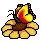 ARCAZUR20