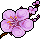 BOUTIQUE_17