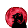 EOPHLFOXITY14.gif