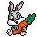 LOWESTBADGESHOP10.gif